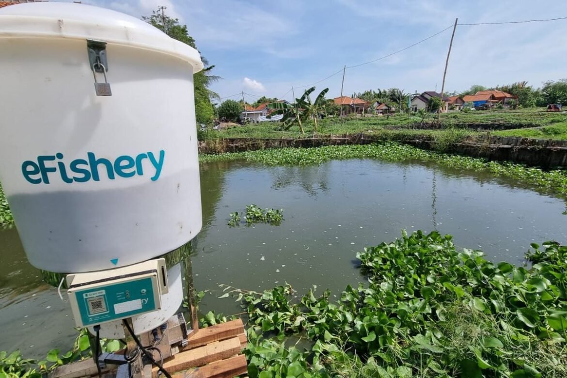 startup e-fishery