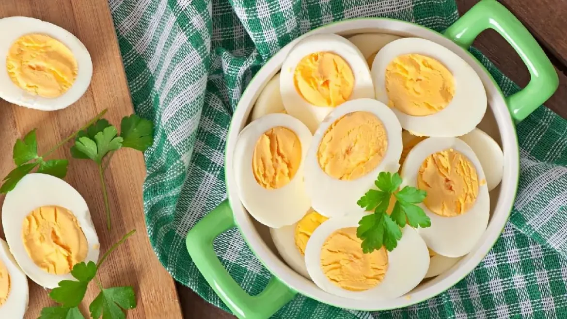 waktu makan telur