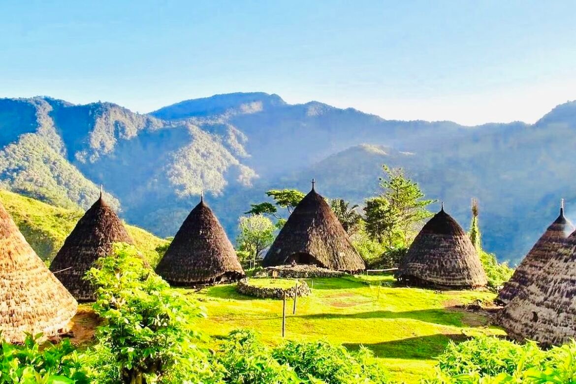 Wisata